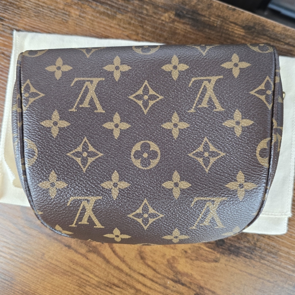 Louis Vuitton Monogram Mini Bumbag Chain Crossbody Bag - Picture 3 of 11